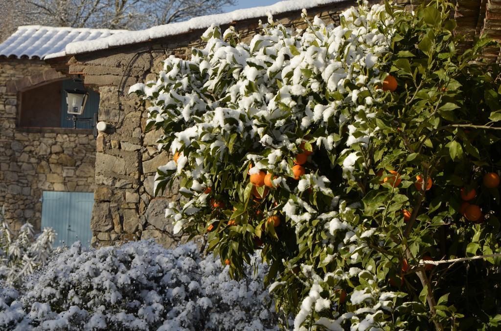 La Pierrerie Hotel Grimaud Kültér fotó
