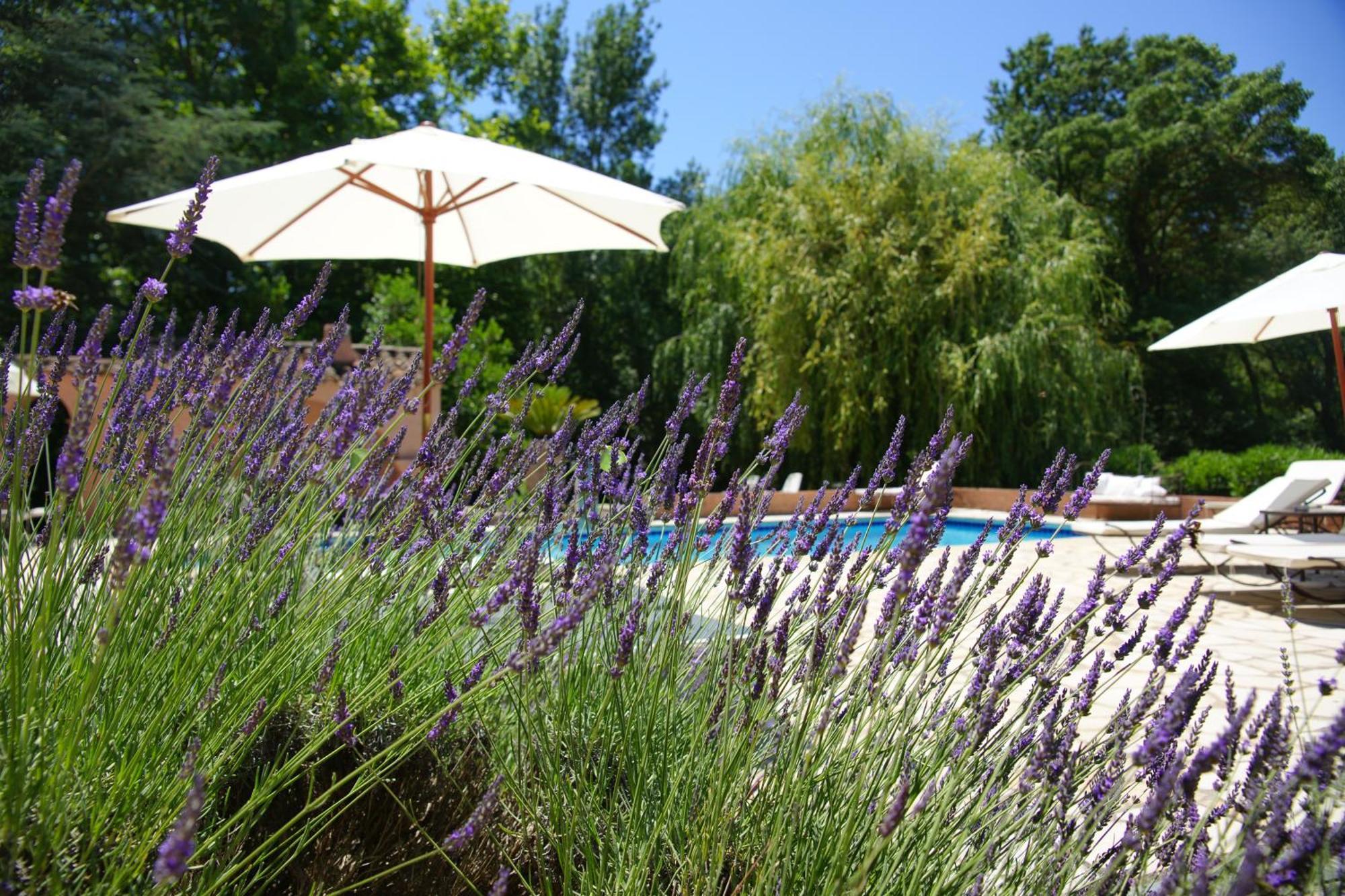 La Pierrerie Hotel Grimaud Kültér fotó