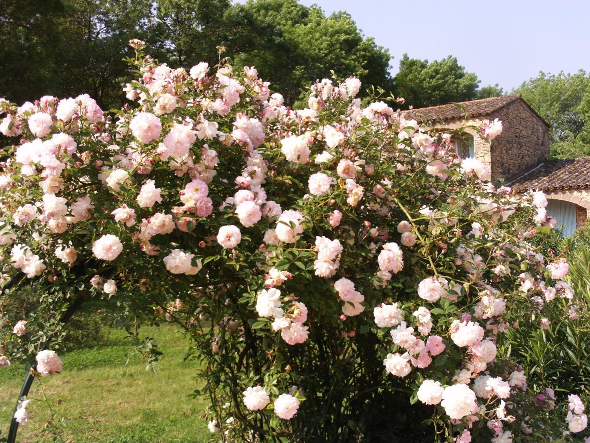 La Pierrerie Hotel Grimaud Kültér fotó