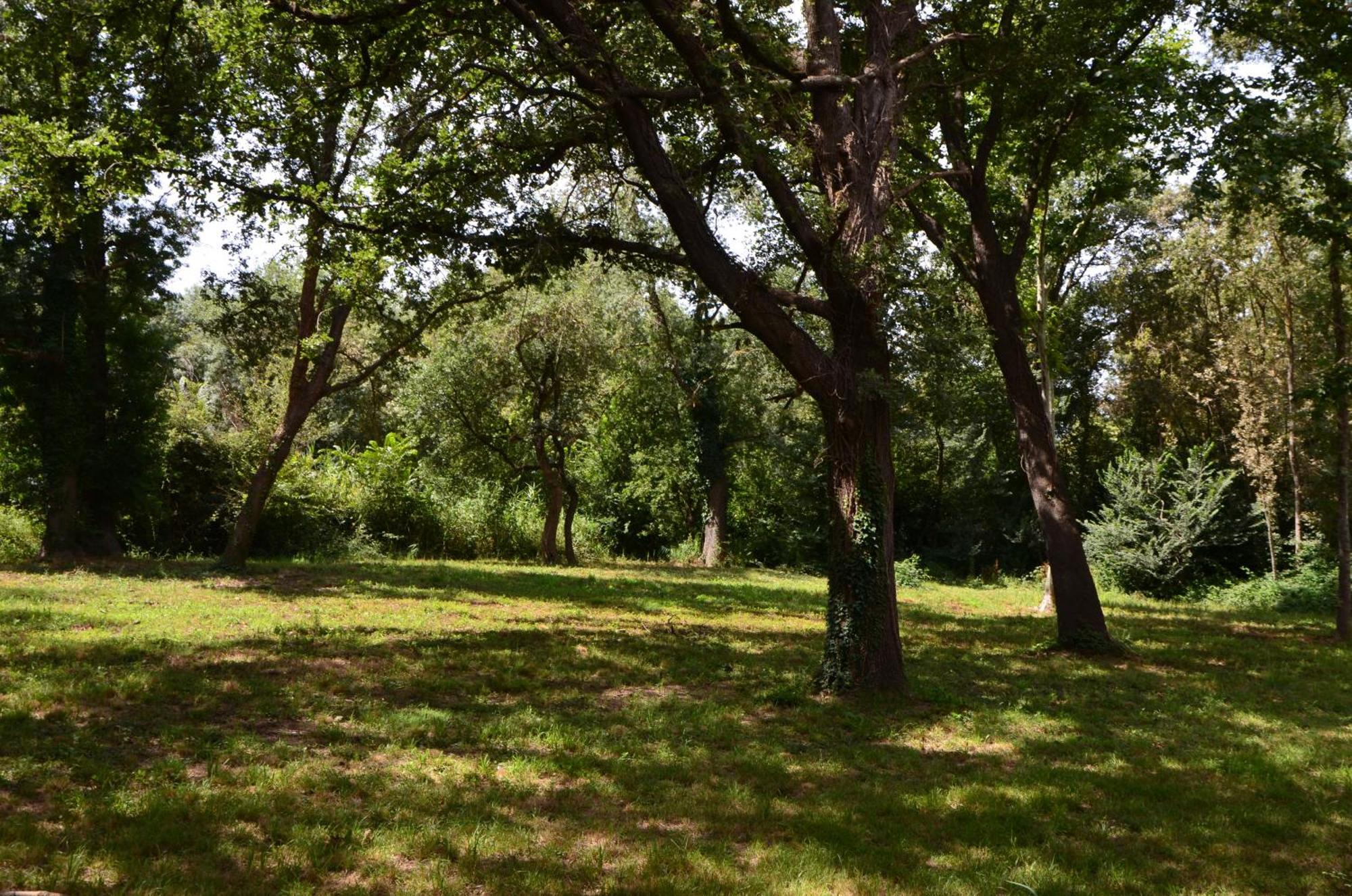 La Pierrerie Hotel Grimaud Kültér fotó